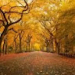 Meet your Posher, Dustin